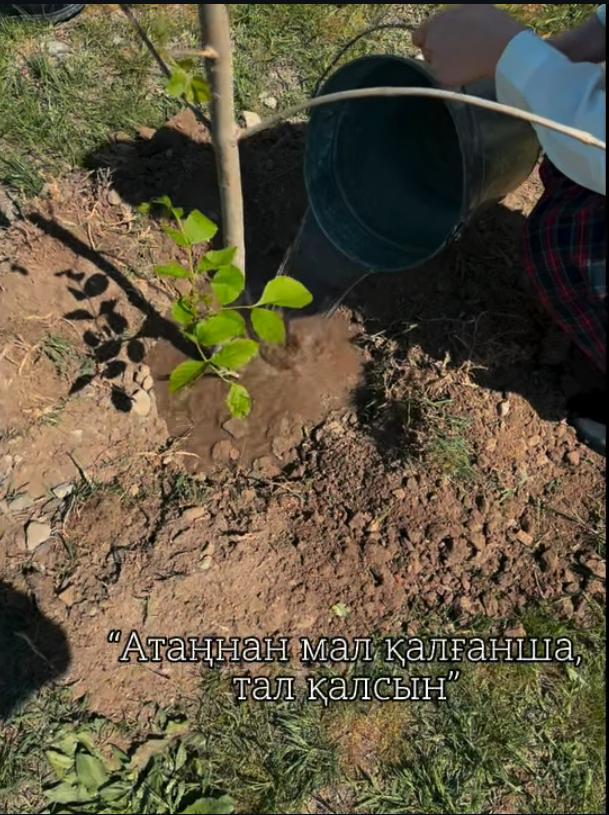 “Таза Қазақстан” эко-челленджі